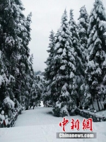 新疆天池飘落第一场雪 景色犹如水墨画 - 中国西藏网