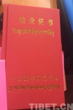 百余名藏医药工作者在京研修：一场文化传承之旅 - 中国西藏网