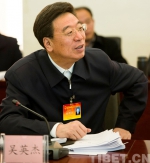 吴英杰参加昌都代表团审议 - 中国西藏网