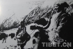 60多年前进军西藏为何离不了它？连毛主席都专门“点它的名” - 中国西藏网