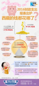 数据新闻：图解2016年西藏财报，看钱都花哪了？ - 中国西藏网
