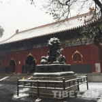 新年美好愿景 在雍和宫开启 - 中国西藏网