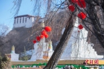 “老外”冬游高原热 西藏春节入境游客增长超七成 - 中国西藏网