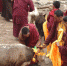 藏历新年里的藏传佛教 - 中国西藏网