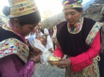 桃花开了，藏历新年来了｜就是现在，快到西藏米林来！ - 中国西藏网
