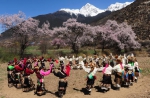 桃花开了，藏历新年来了｜就是现在，快到西藏米林来！ - 中国西藏网