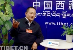 全国政协委员洛桑山丹：请到阿里了解真实的阿里故事 - 中国西藏网