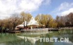 “3·28”——西藏各族人民心中不朽的丰碑 - 中国西藏网