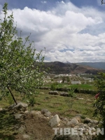 双城记：亚丁的天空 青德的田园——甘孜行纪之九 - 中国西藏网
