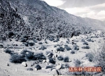 乡村游“唤醒” 千年藏族古村落 - 中国西藏网