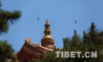 从贝勒府到皇家寺庙 雍和宫的数次变身 - 中国西藏网