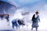 珠峰冰川第二届“西藏风情”摄影大赛征稿 - 新华网西藏