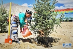 雅鲁藏布江山南段启动治沙生态扶贫项目 - 新华网西藏