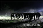 川西武警特战队“魔鬼周”聚焦实战谋打赢 - 中国西藏网