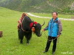 [高原畜牧业新成就]参与式理念让高原牧民共享绿水青山好前景 - 中国西藏网