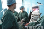 4个“钥匙孔”如何解决肝包虫病？ - 中国西藏网