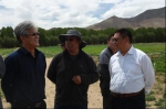 西藏草牧业科技示范园正式启动筹建 - 科技厅