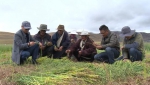 高原畜牧业今非昔比（二）：盘点专家带来的牧区“宝贝” - 中国西藏网