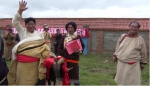 高原畜牧业今非昔比（一）：专家带给牧区的 “宝贝” - 中国西藏网