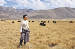 大草原上的脱贫致富带头人 - 新华网西藏