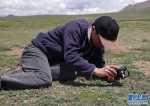 我国科学家探秘“第三极”动植物世界 - 中国西藏网