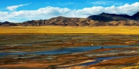 可可西里申遗成功 中国世界自然遗产增至51个 - 中国西藏网
