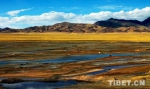可可西里申遗成功 中国世界自然遗产增至51个 - 中国西藏网