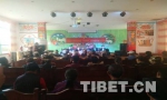 林芝市巴宜区开展“四讲四爱”宣传活动 - 中国西藏网
