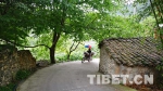 康养泸定，在山谷中安放身心——甘孜行纪之十二 - 中国西藏网