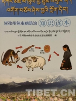 石渠，川青藏交界处的太阳部落——甘孜行纪之十五 - 中国西藏网