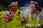西藏面面观:有一种微笑，不止幸福还有感恩 - 中国西藏网