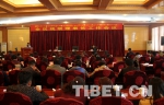 西藏加快推进残疾人小康工程成效显著 - 中国西藏网