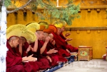 中国藏语系高级佛学院第十四届高级学衔班赴西藏寺院辩经实习 - 中国西藏网