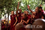 中国藏语系高级佛学院第十四届高级学衔班赴西藏寺院辩经实习 - 中国西藏网