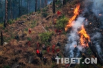 你站立的地方叫林芝 - 中国西藏网