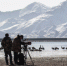西藏自治区高原生物研究所协助区外宣办完成纪录片《黑颈鹤的故事》I期拍摄工作 - 科技厅
