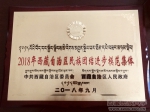 马克思主义学院荣获2018年度西藏自治区“民族团结进步模范集体”荣誉称号 - 西藏民族学院