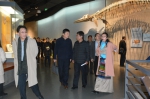 西藏自治区政协教科卫体委员会莅临 西藏自然科学博物馆开展专项视察 - 科技厅